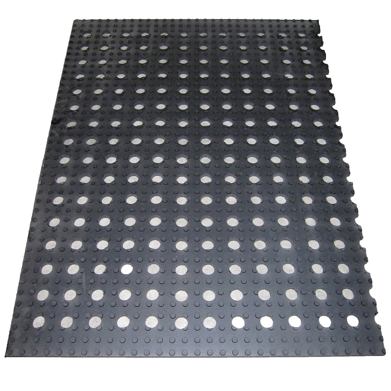 Boar Collection Mat image 0