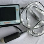 HD6 Ultrasound for Multiple Species