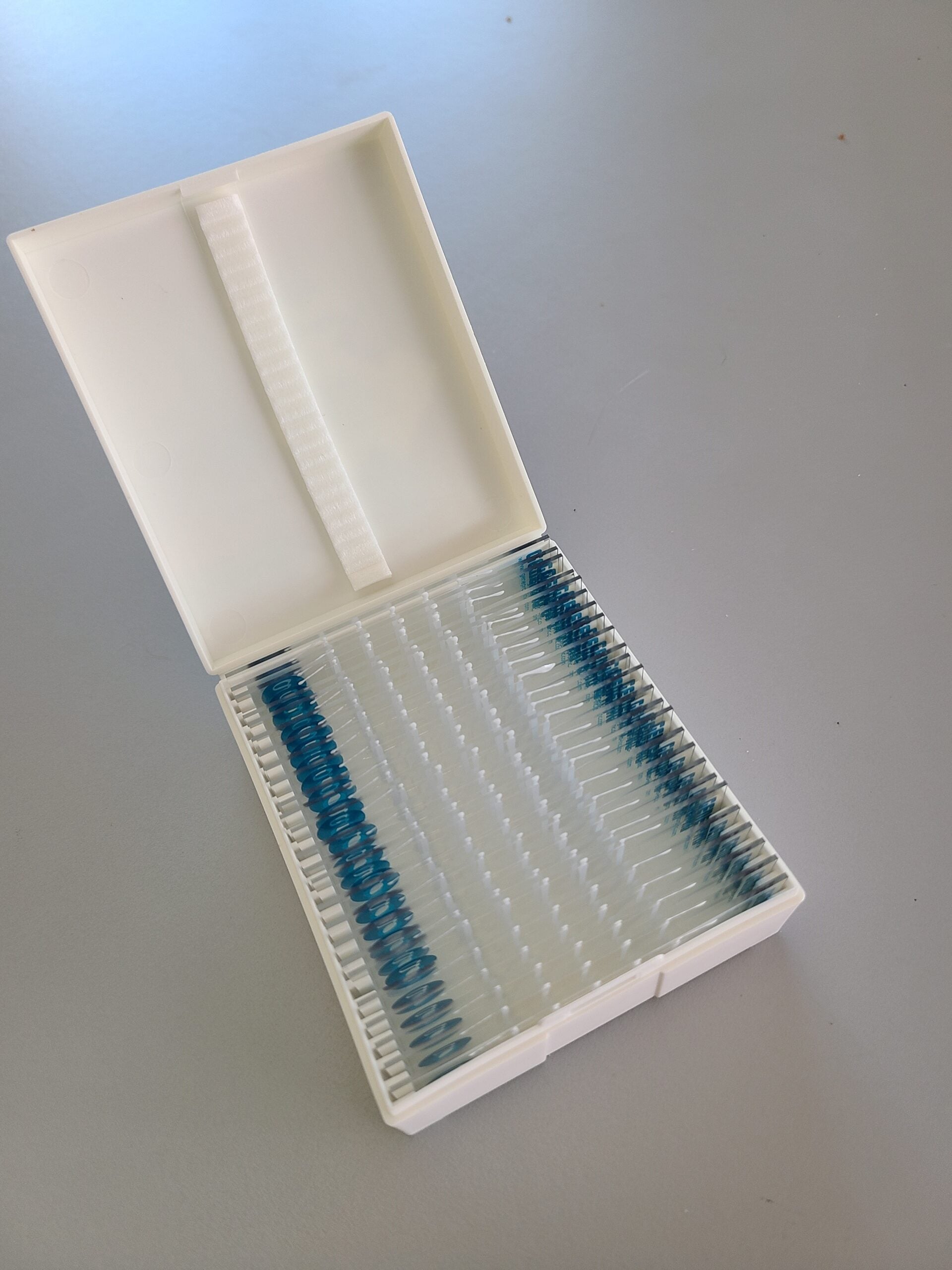 GENEPRO Chamber Slides - Standard Layout image 2